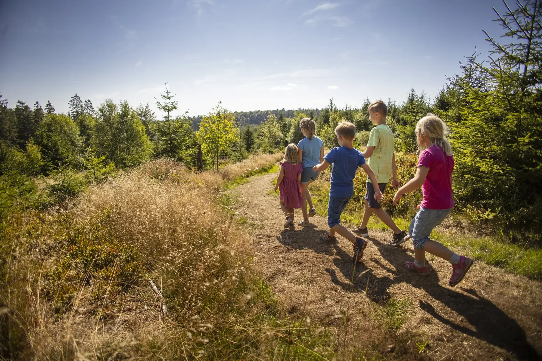 Kinder laufen auf einem Wanderweg durch die herbstliche Hochheide